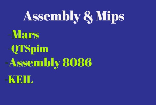 I will do your assembly 8086 and mips project