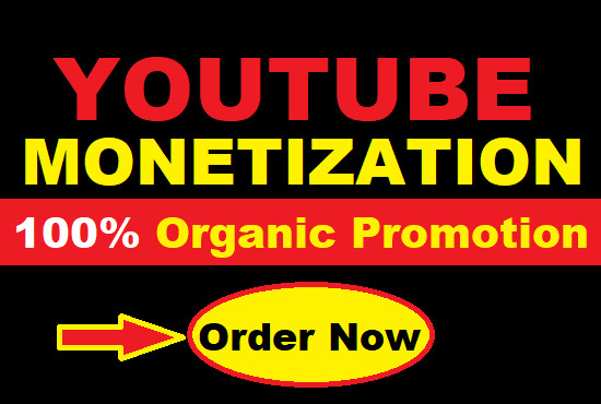 I will do youtube promotion and SEO to get your channel monetized