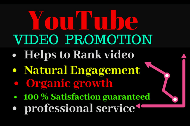 I will do youtube promotion and viral video marketing