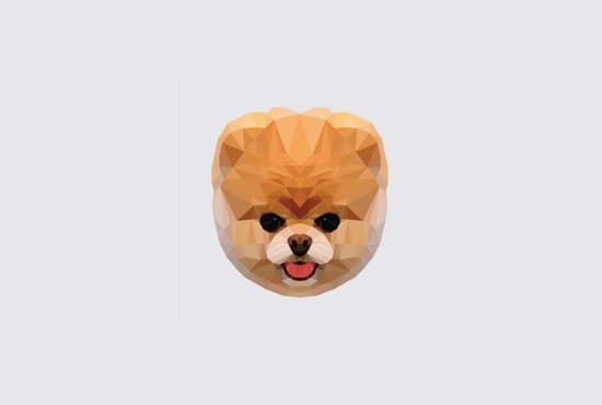 I will draw a cute low poly illustration of your pet