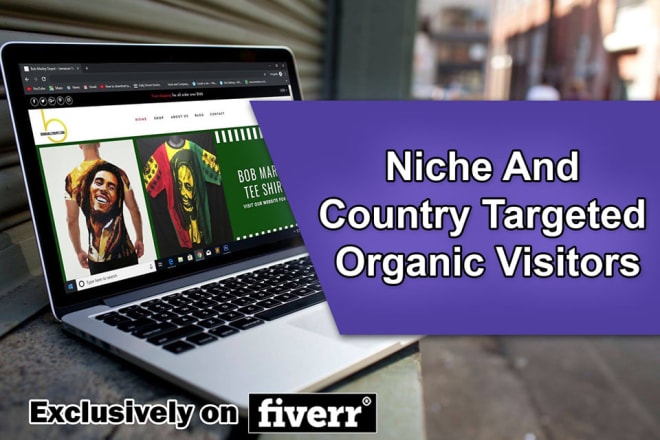 I will drive niche and country targeted organic visitors