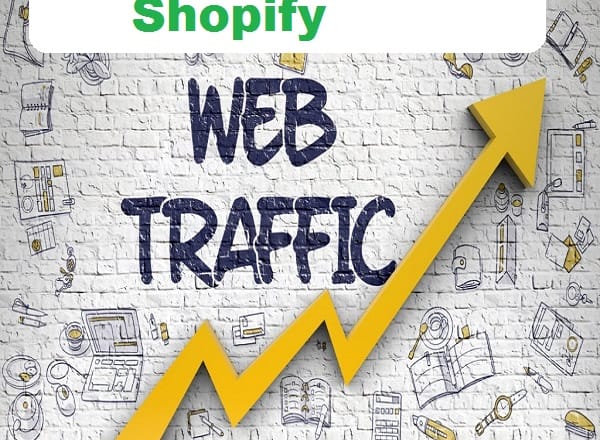 I will drive premium traffic into your shopify dropshipping website to increase sales