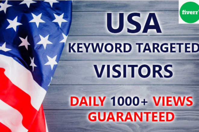 I will drive usa targeted organic web traffic