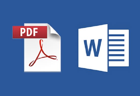 I will edit or format pdf, powerpoint,word file document