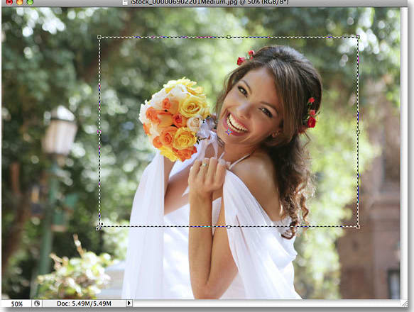 I will enlarge your image to any size without losing quality