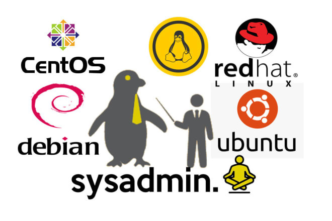 I will fix and configure your linux server issue