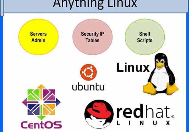 I will fix anything in linux