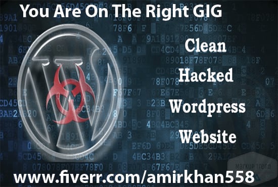 I will fix hacked wordpress websites remove malware and secure perfectly