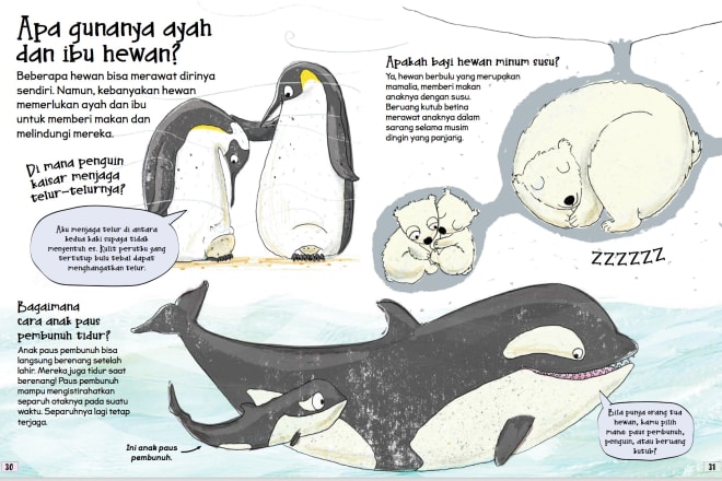 I will format or layout your childrens book pages for publishing