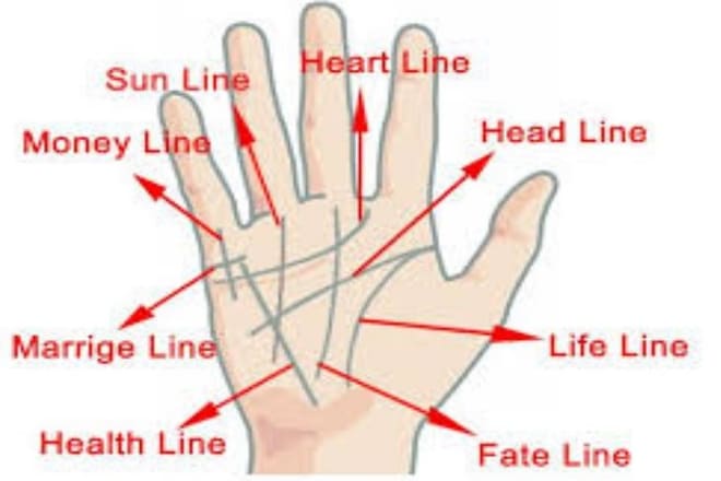 I will give you the most accurate and detail palm reading