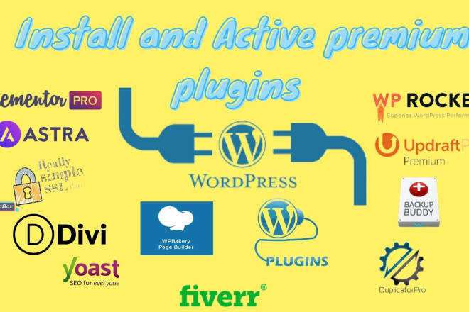 I will install astra pro, yoast SEO, elementor pro, any pro plugin within 1 day