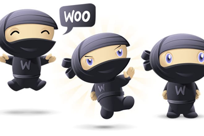 I will install your woocommerce and wordpress