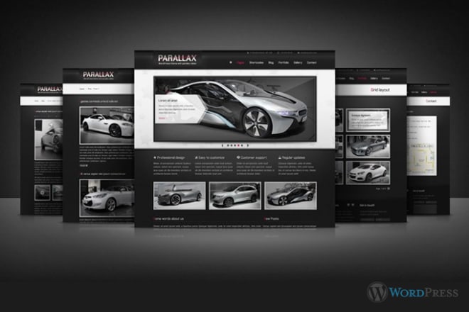 I will install your wordpress and theme with demo