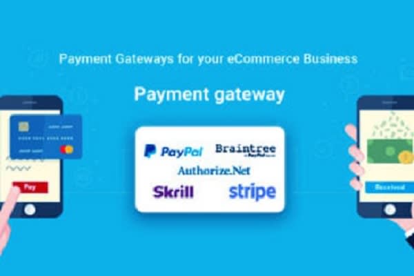 I will integrate any type of payment gateway into your website