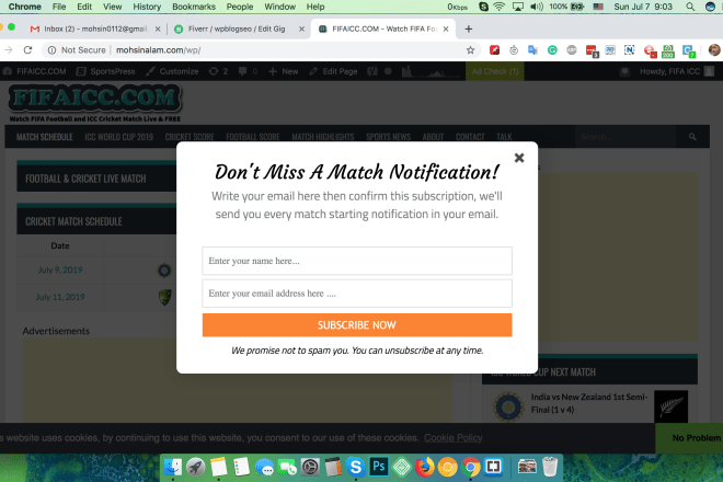I will integrate email optin form on your wordpress website, setup newsletter system