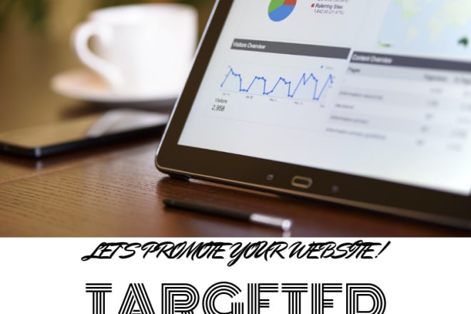 I will lead targeted web traffic to your website