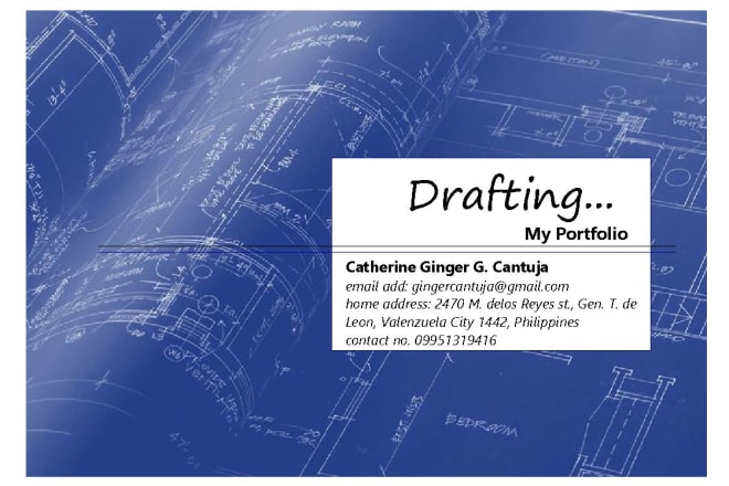 I will make architectural plan drawings in 2d cad