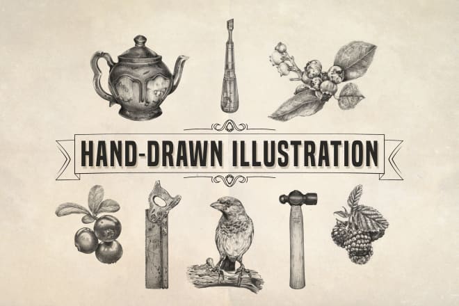 I will make detailed hand drawn illustrations of any object animal or food