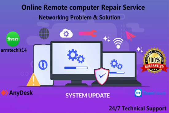I will online remote computer repair service