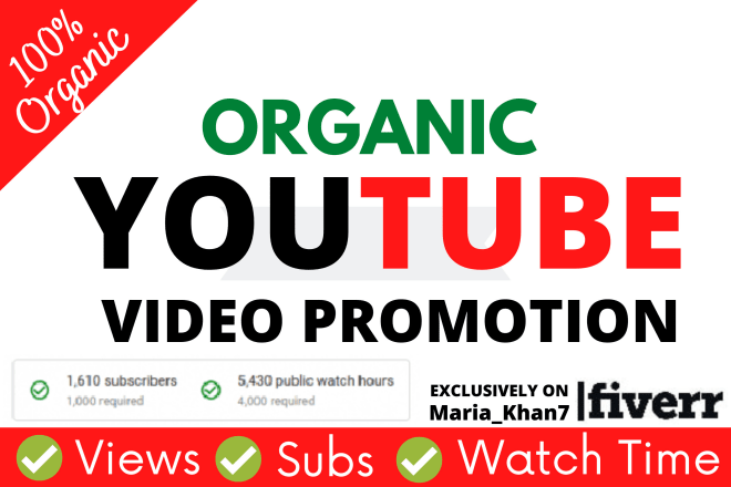 I will organic youtube promotion or viral video marketing