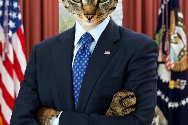 I will photoshop your pets into anybody