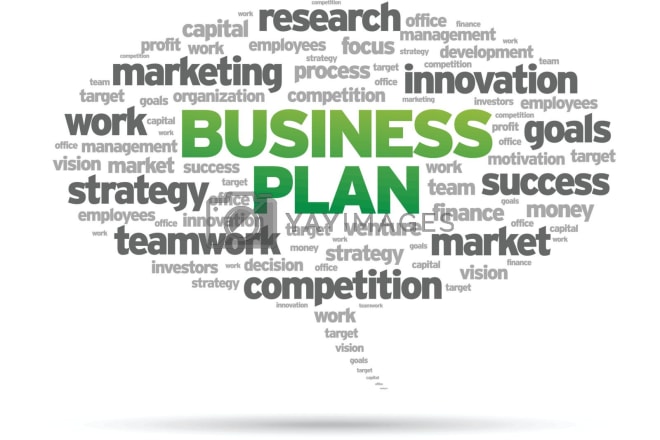 I will prepare an investor ready business plan