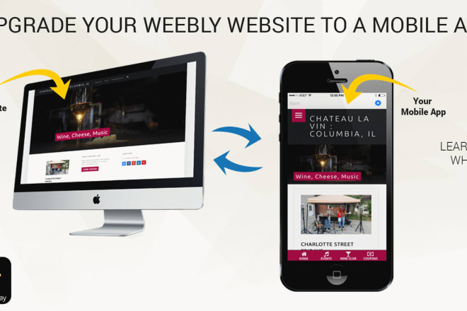 I will professional convert any of your website to android apk with ios source code