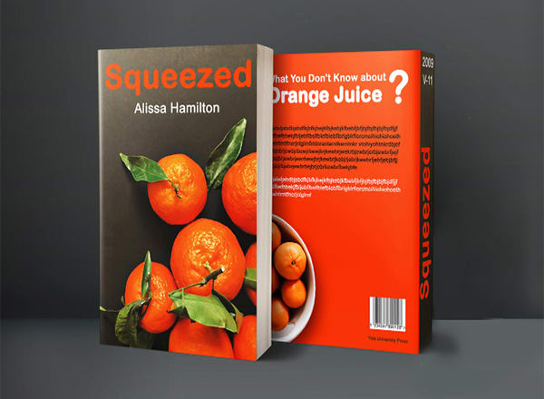 I will professional ebook cover design
