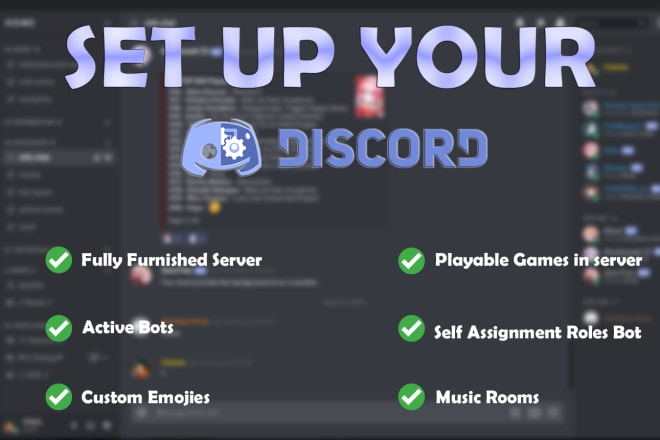 I will professionally setup your discord server