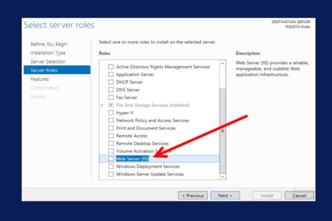 I will provide iis web services