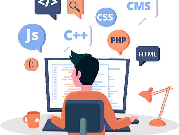 I will provide my programming services