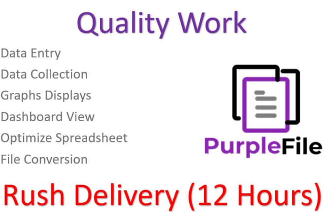 I will provide quality data entry service