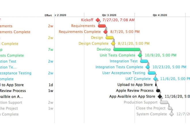 I will provide software consulting services