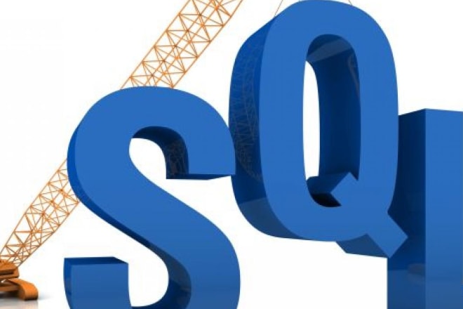 I will provide sql server support