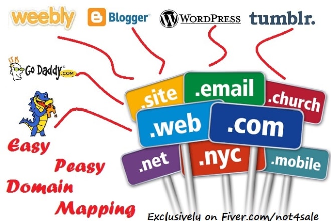 I will set up your custom domain for blogger, weebly, wordpress, squarespace etc