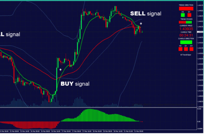I will setup accurate trading bot indicator mt4 mt5 and profitable mining bot