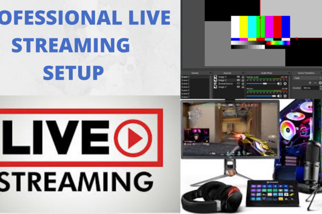 I will setup obs for professional live streaming or recording