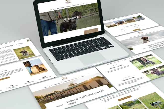 I will setup your uncode wordpress website