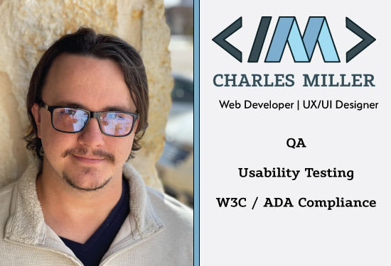 I will test your website for compliance and usability