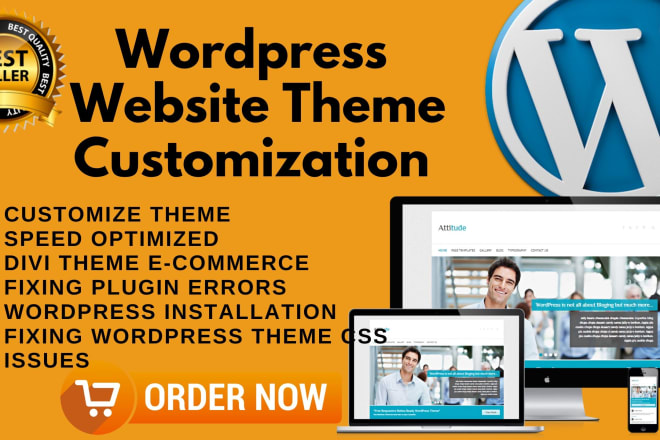 I will update your wordpress website and do theme customization