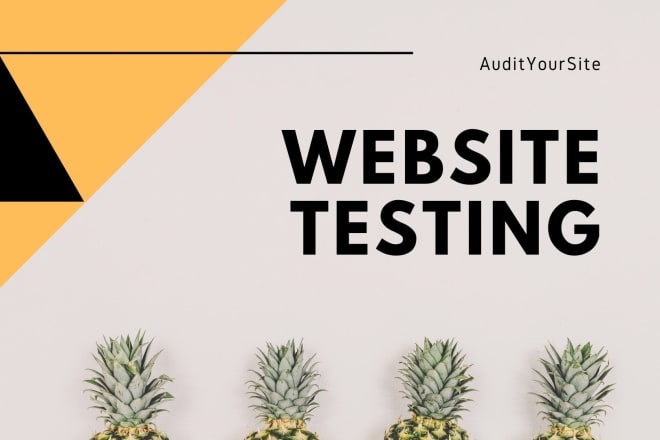 I will ux audit and test your website