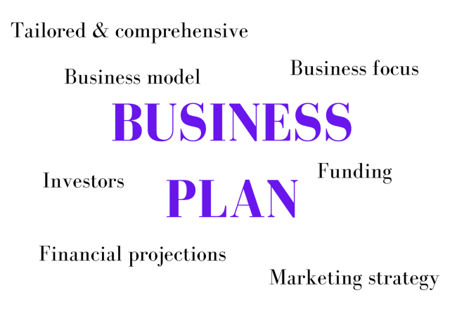 I will we create a tailored comprehensive business plan