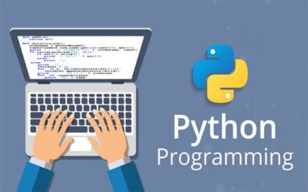 I will work as a python freelancer