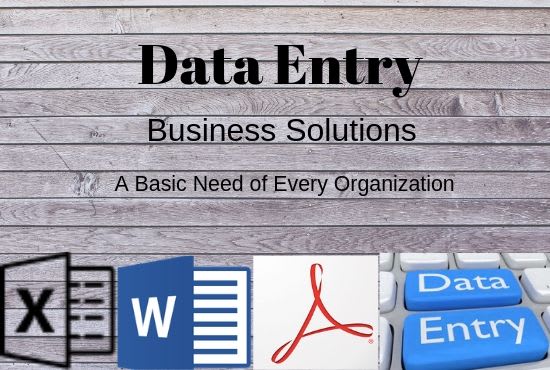 I will work as data entry operator
