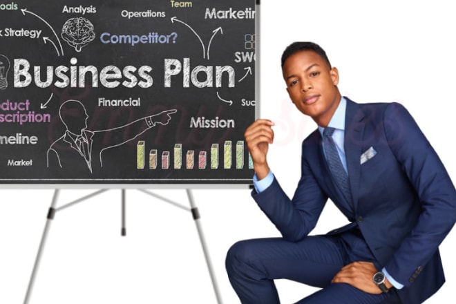 I will write a full detailed business plan, business proposal, business plan writer,
