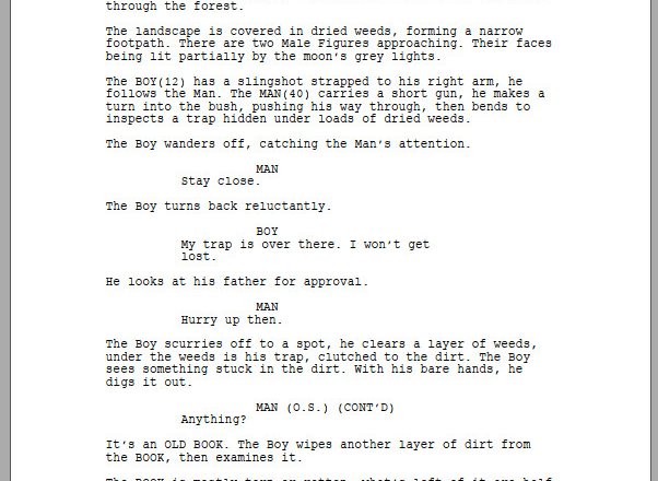 I will write a unique feature screenplay for you