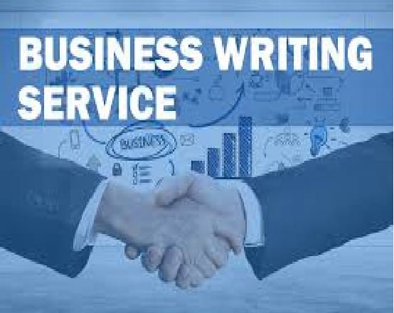 I will write business essays and articles for you