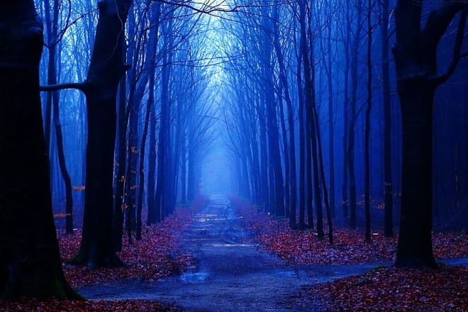 I will write imaginative stories for you