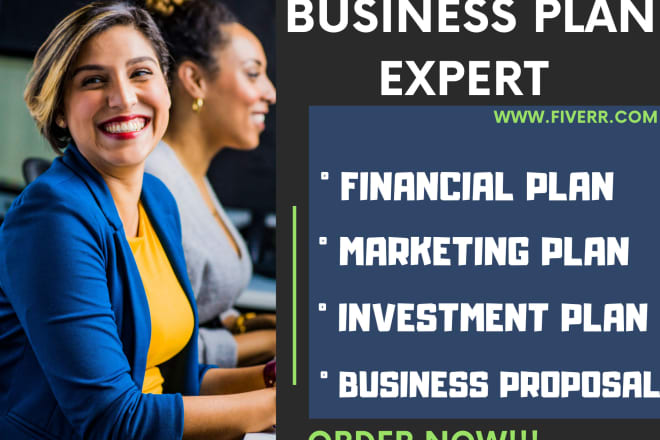 I will write you a professional business and financial plan for startups