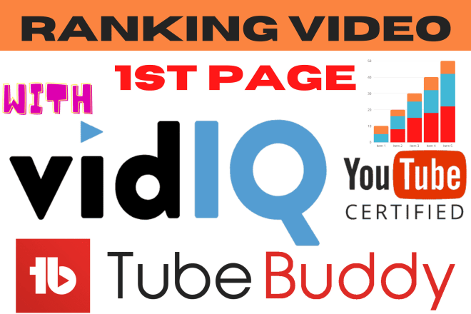 I will youtube video SEO using tubebuddy and vidiq